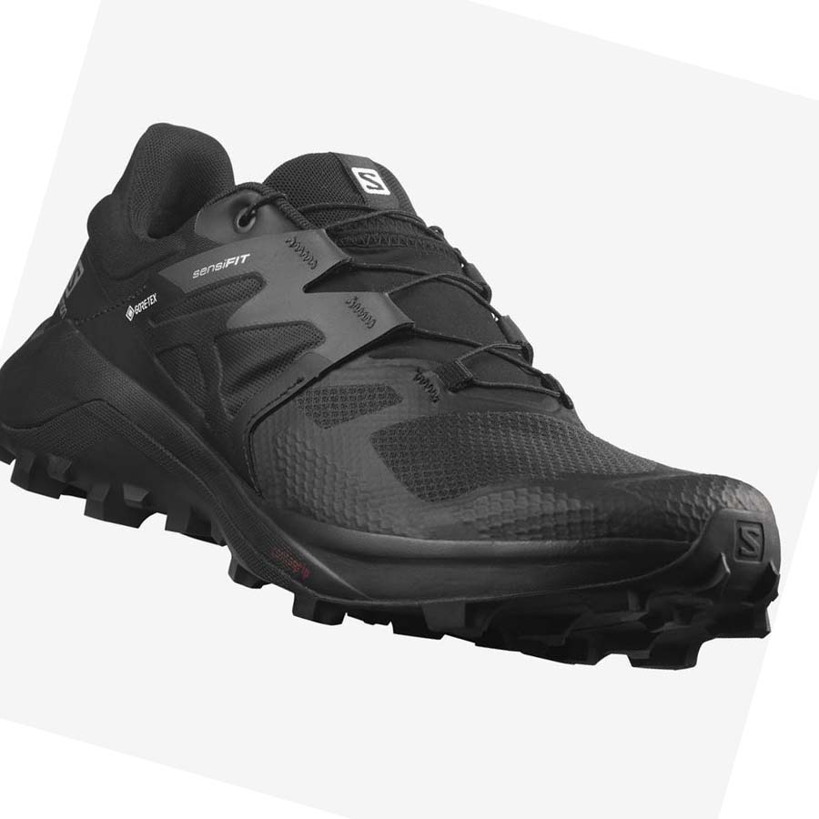 Salomon WILDCROSS 2 GORE-TEX Erkek Patika Koşu Ayakkabısı Siyah | TR 3536NWY